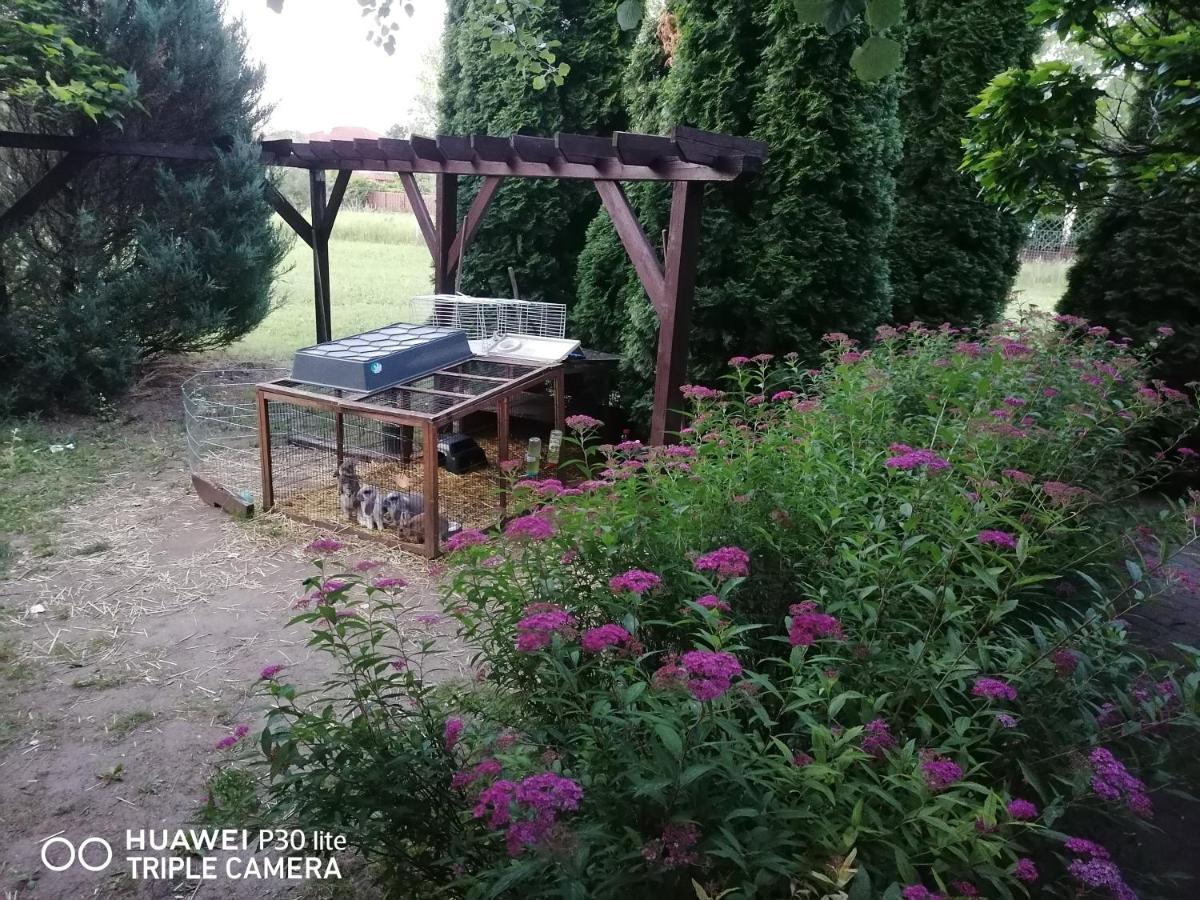 Family SIESTA Sóstó Acomodação com café da manhã Nyíregyháza Exterior foto